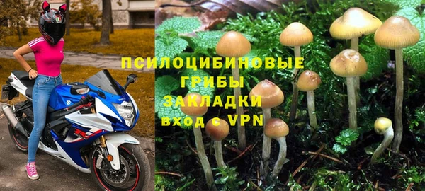 apvp Абаза
