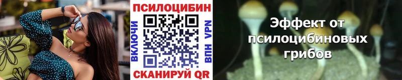 Псилоцибиновые грибы прущие грибы  shop телеграм  Алатырь 